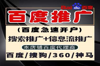 SEM托管公司案例：优化与增长